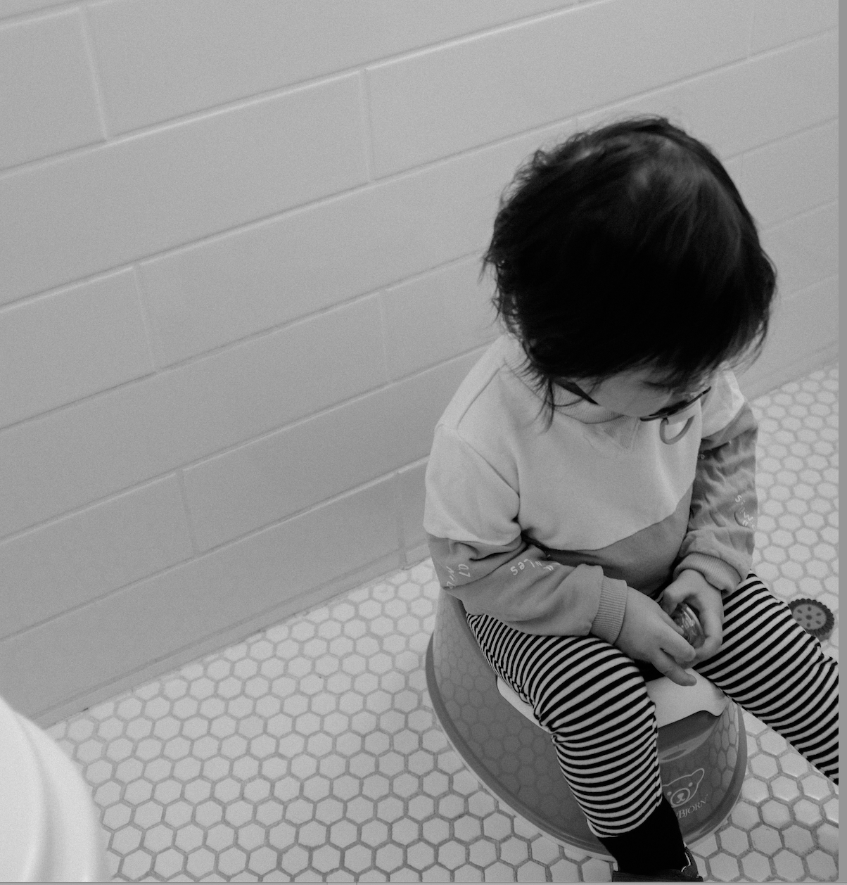 Potty training your toddler